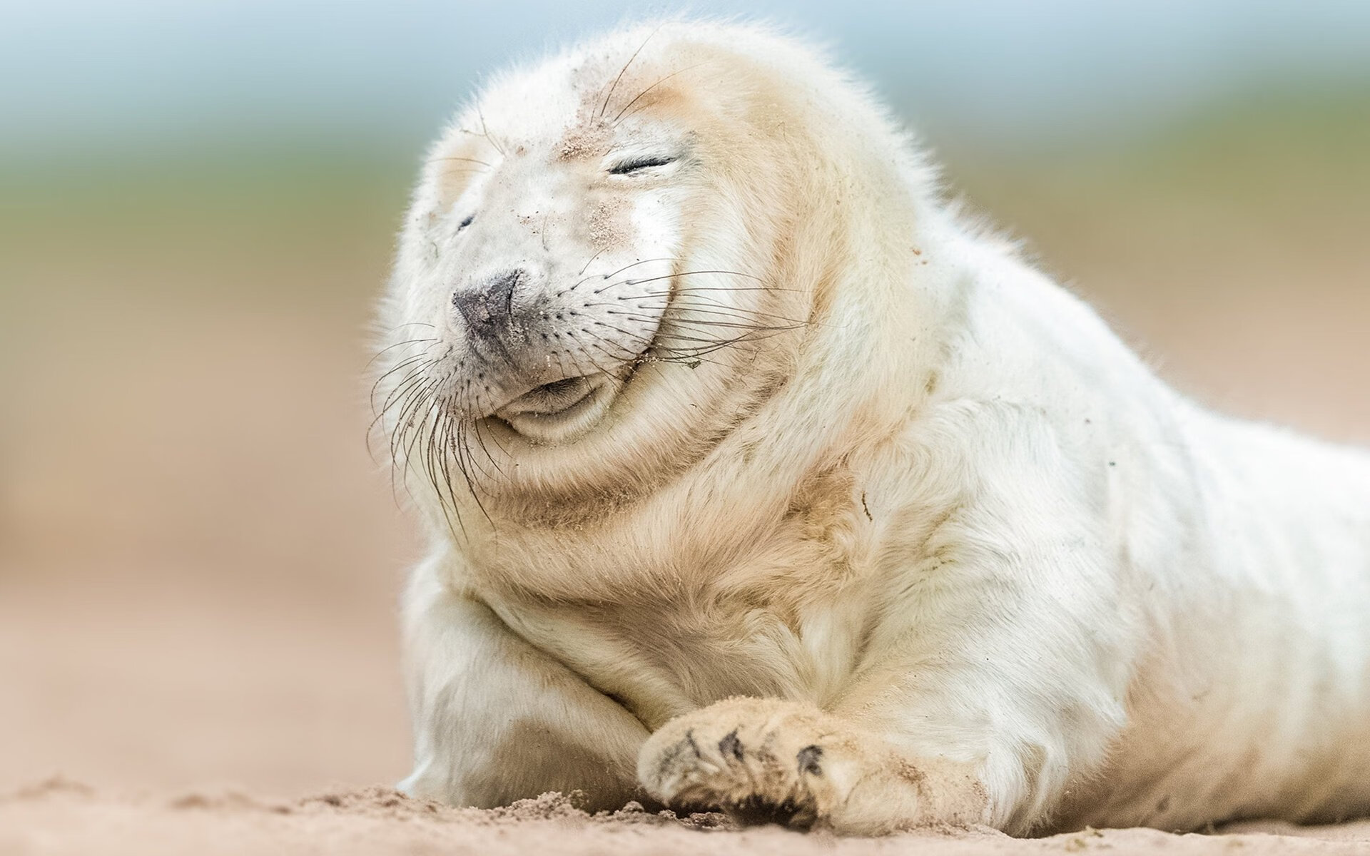 罗马尼亚队在国际乒联混合团体世界杯中的技术突破,罗马尼亚乒乓球混双组合