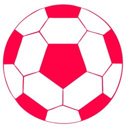 开云·Kaiyun网页版-中国足球协会公开年度预算,中国足球协会会员协会